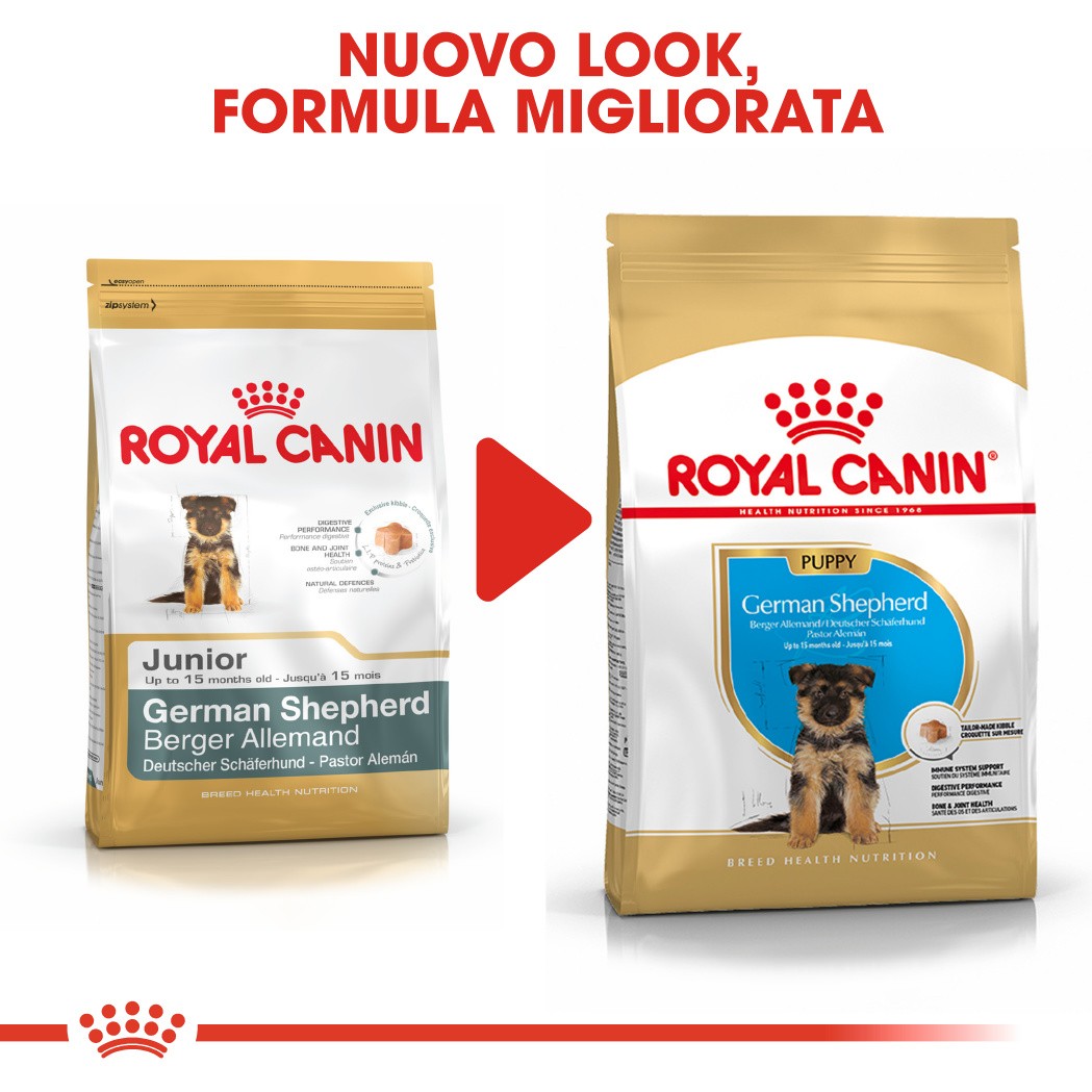 Royal Canin Puppy Pastore Tedesco cibo per cane