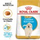 Royal Canin Puppy Golden Retriever cibo per cane