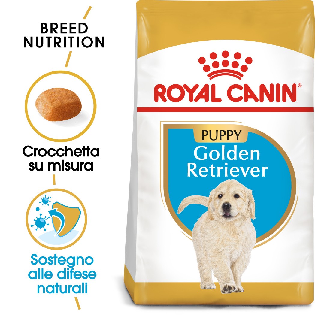 Royal Canin Puppy Golden Retriever cibo per cane