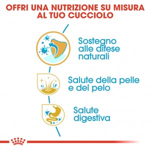 Royal Canin Puppy Golden Retriever cibo per cane