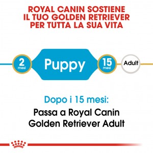 Royal Canin Puppy Golden Retriever cibo per cane