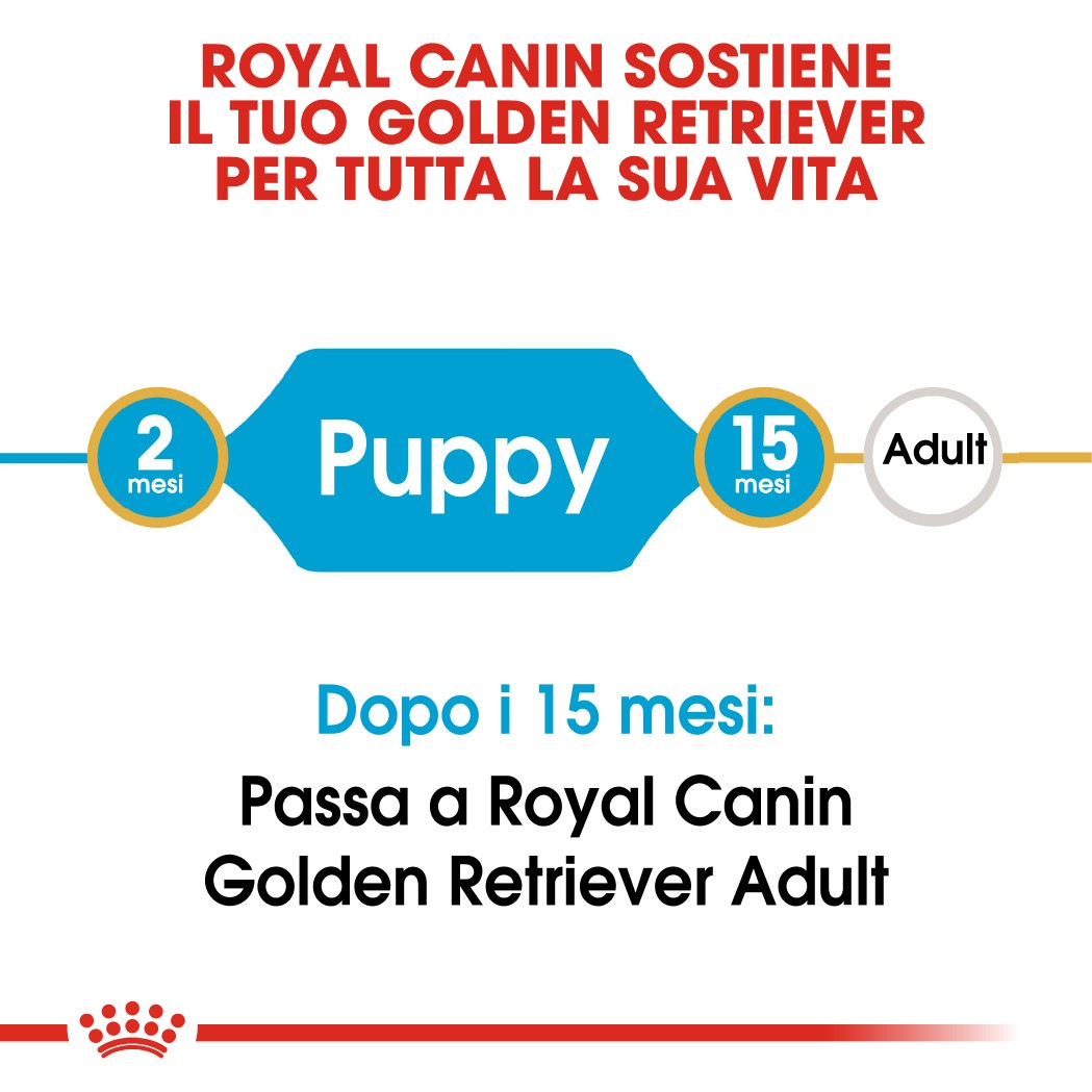 Royal Canin Puppy Golden Retriever cibo per cane