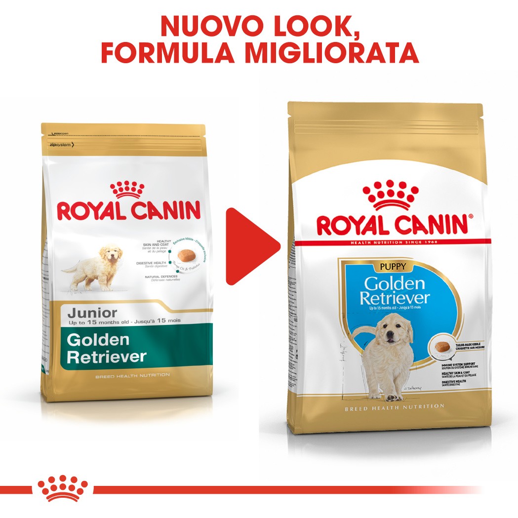 Royal Canin Puppy Golden Retriever cibo per cane