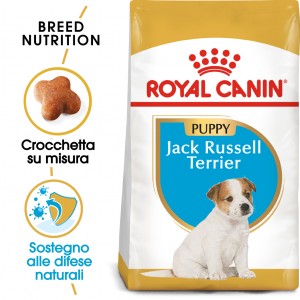Royal Canin Puppy Jack Russell Terrier cibo per cane