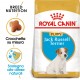 Royal Canin Puppy Jack Russell Terrier cibo per cane