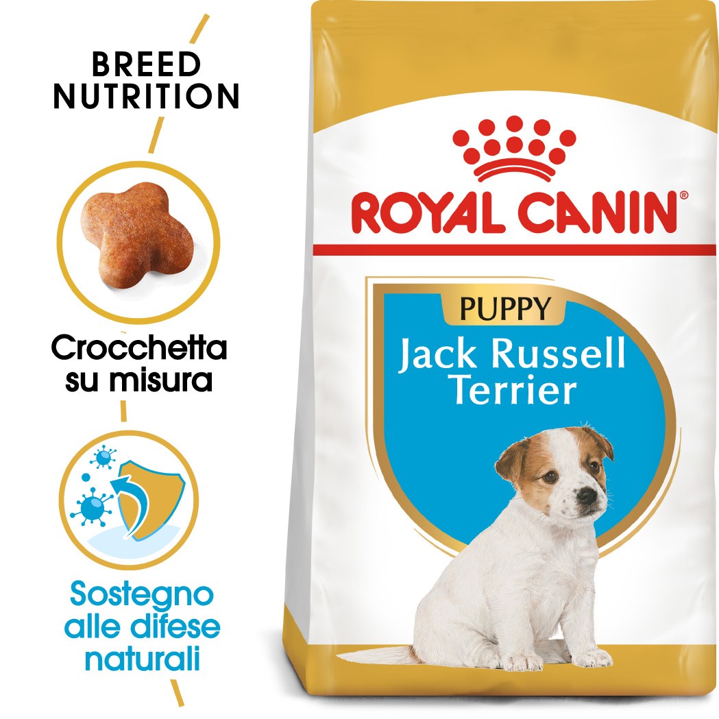 Royal Canin Puppy Jack Russell Terrier cibo per cane