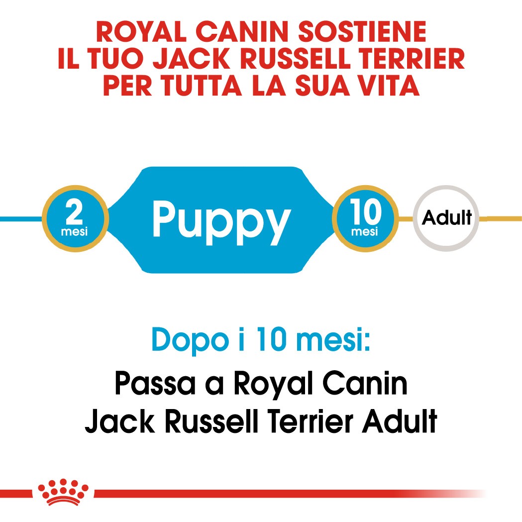 Royal Canin Puppy Jack Russell Terrier cibo per cane