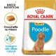 Royal Canin Puppy Barboncino cibo per cuccioli