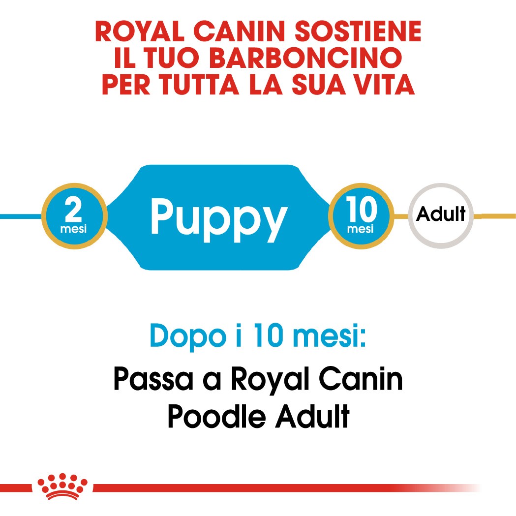 Royal Canin Poodle 33 junior hondenvoer