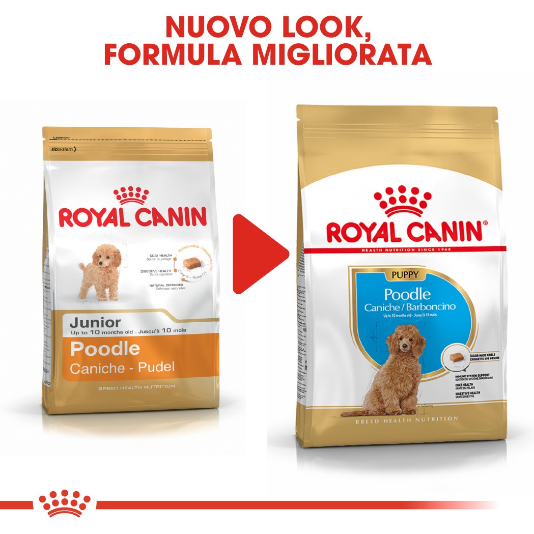 Royal Canin Poodle 33 junior hondenvoer