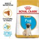 Royal Canin Puppy Carlino cibo per cane