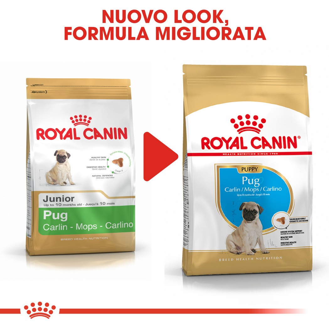 Royal Canin Puppy Carlino cibo per cane