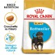 Royal Canin Puppy Rottweiler cibo per cane