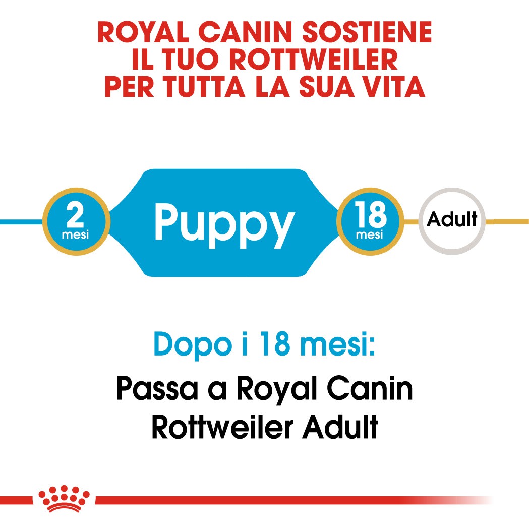 Royal Canin Puppy Rottweiler cibo per cane