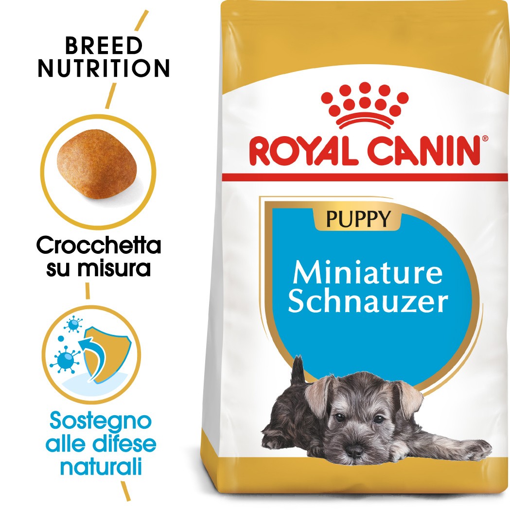 Royal Canin Miniature Schnauzer Junior Hondenvoer