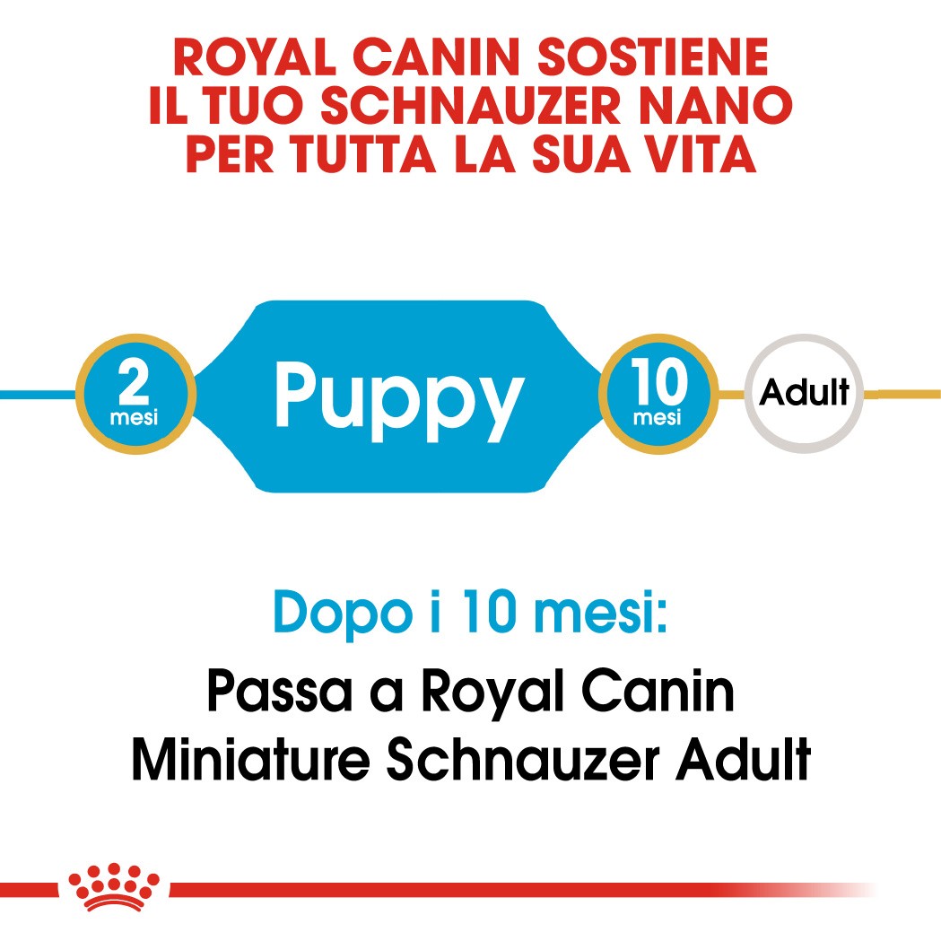 Royal Canin Miniature Schnauzer Junior Hondenvoer