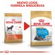 Royal Canin Miniature Schnauzer Junior Hondenvoer