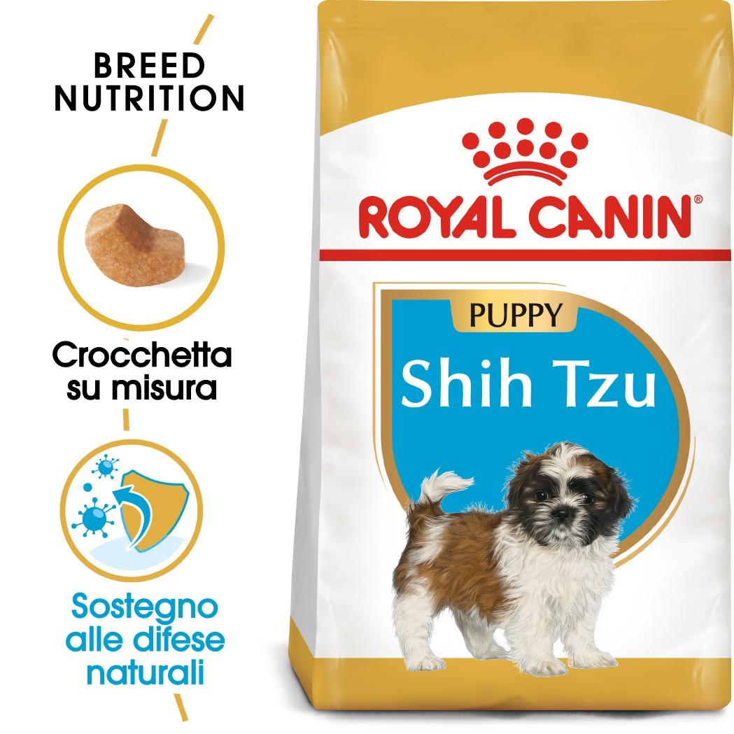 Royal Canin Puppy Shih Tzu cibo per cane