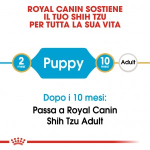 Royal Canin Puppy Shih Tzu cibo per cane