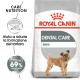 Royal Canin Dental Care Mini per cane