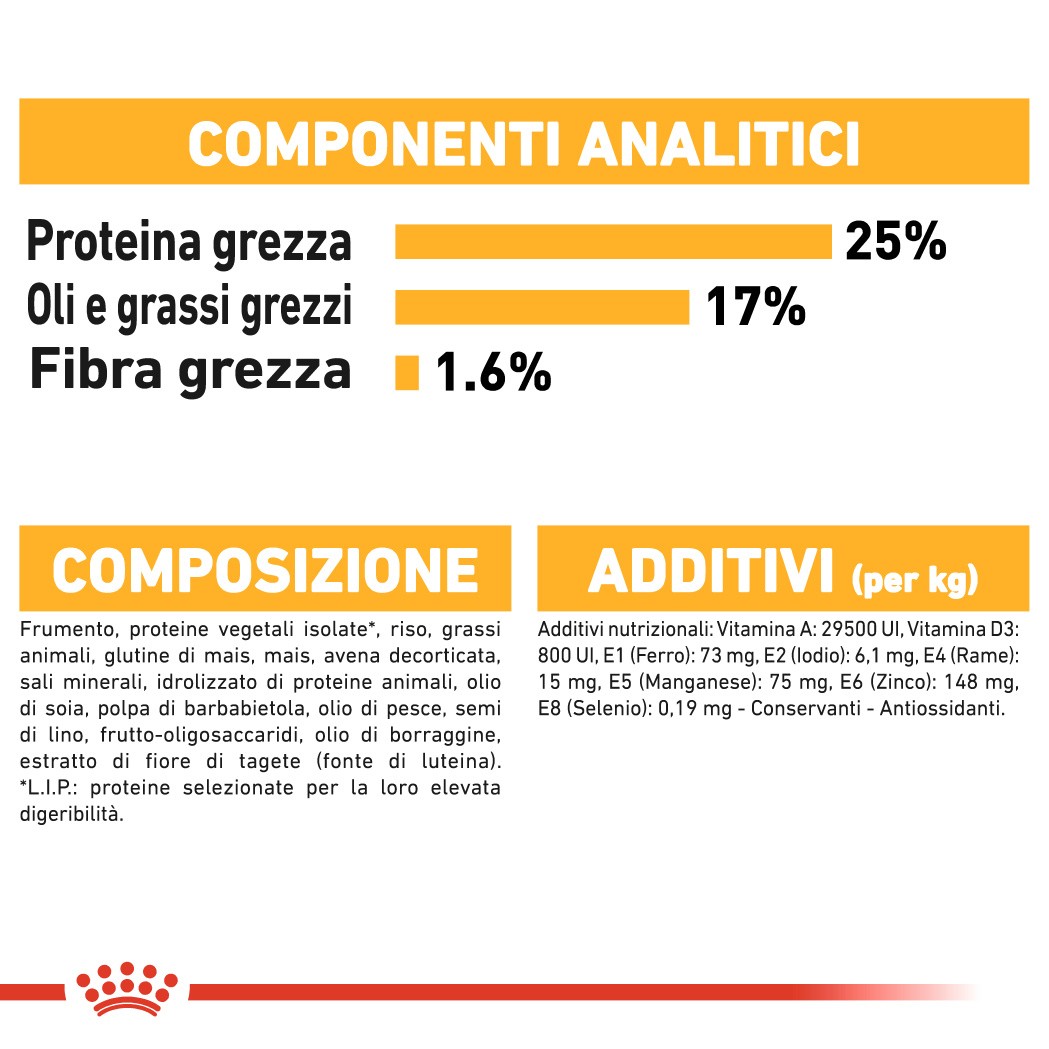 Royal Canin Maxi Dermacomfort per cane