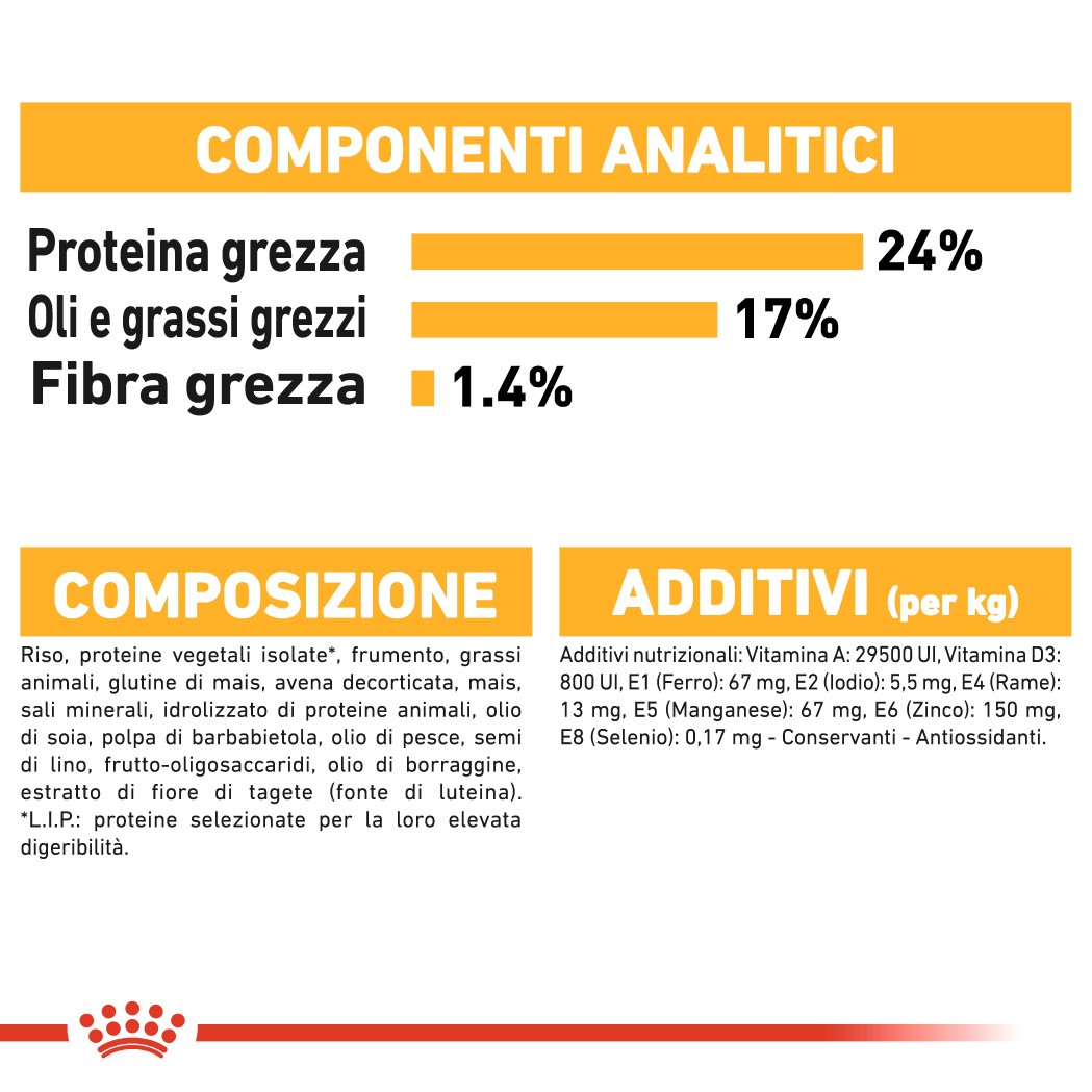 Royal Canin Medium Dermacomfort per cane