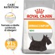 Royal Canin Mini Dermacomfort per cane
