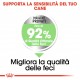 Royal Canin Mini Digestive Care per cane