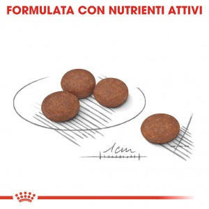 Royal Canin Mini Digestive Care per cane