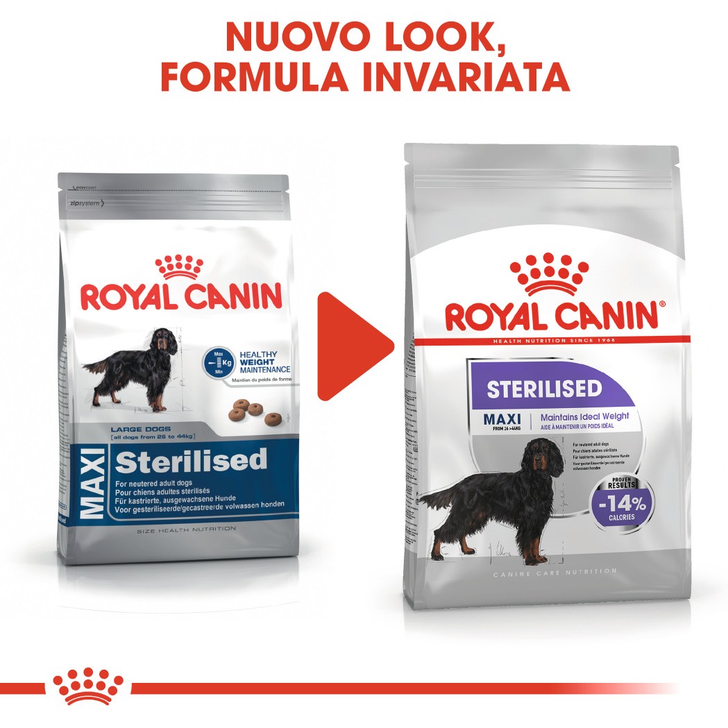 Royal Canin Maxi Sterilised  per cane