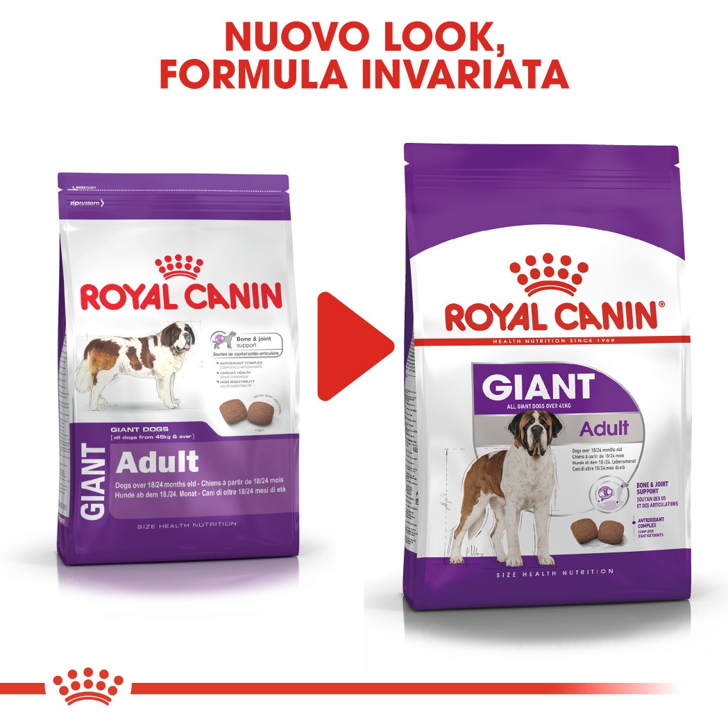 Royal Canin Giant Adult per cane
