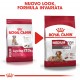 Royal Canin Medium Ageing 10+ per cane
