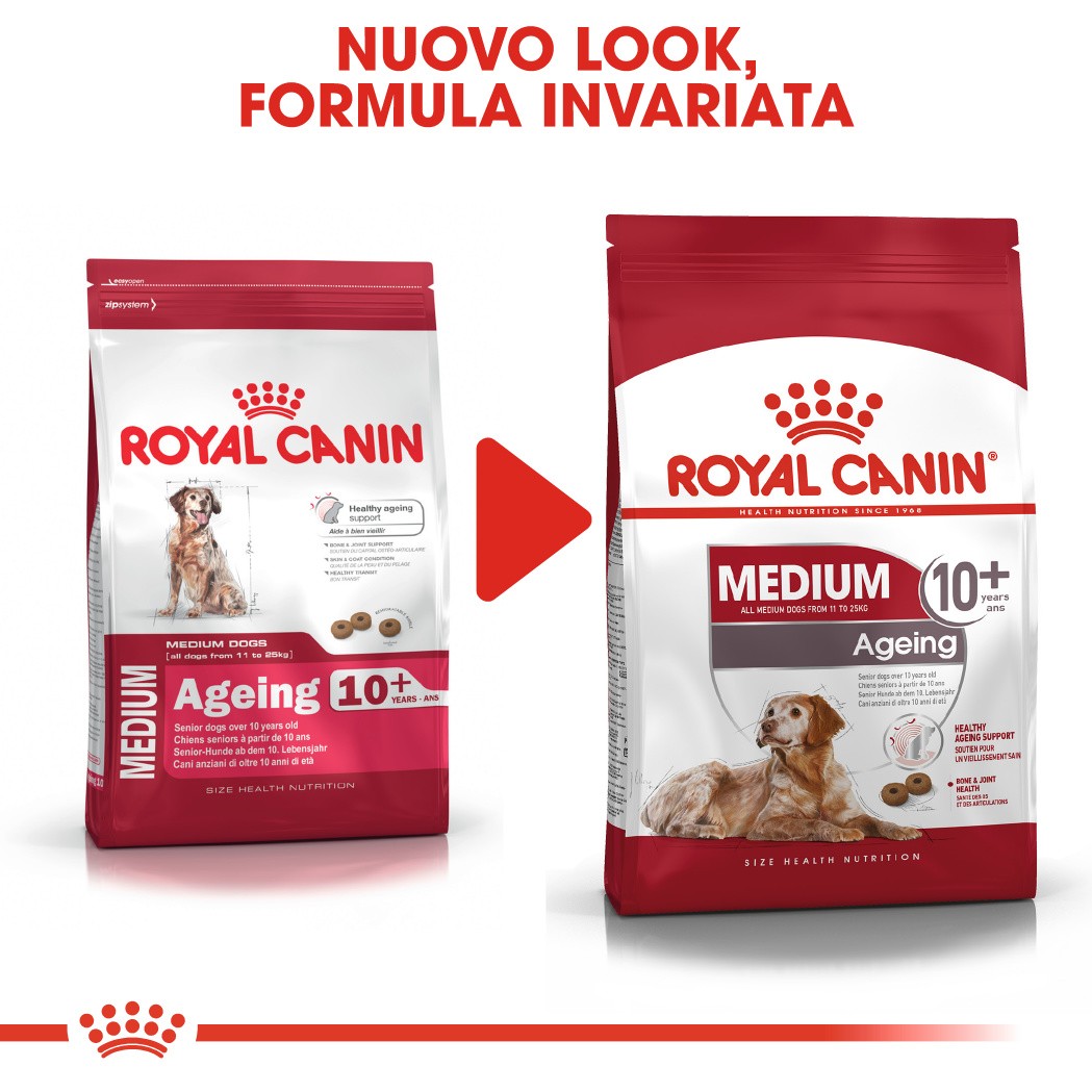 Royal Canin Medium Ageing 10+ per cane