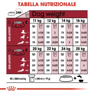 Royal Canin Medium Ageing 10+ per cane