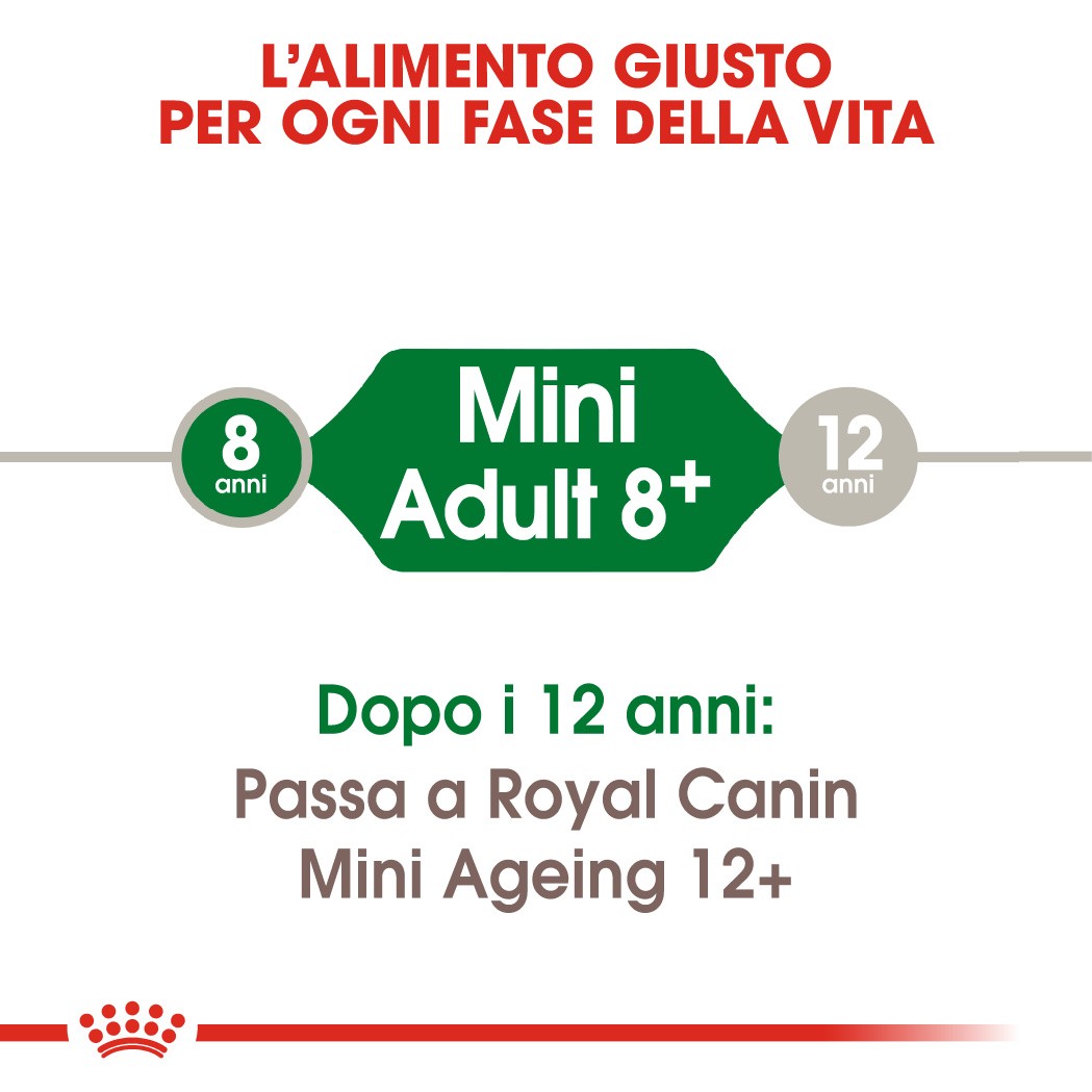 Royal Canin Mini Adult 8+ Cane