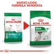Royal Canin Mini Adult 8+ Cane