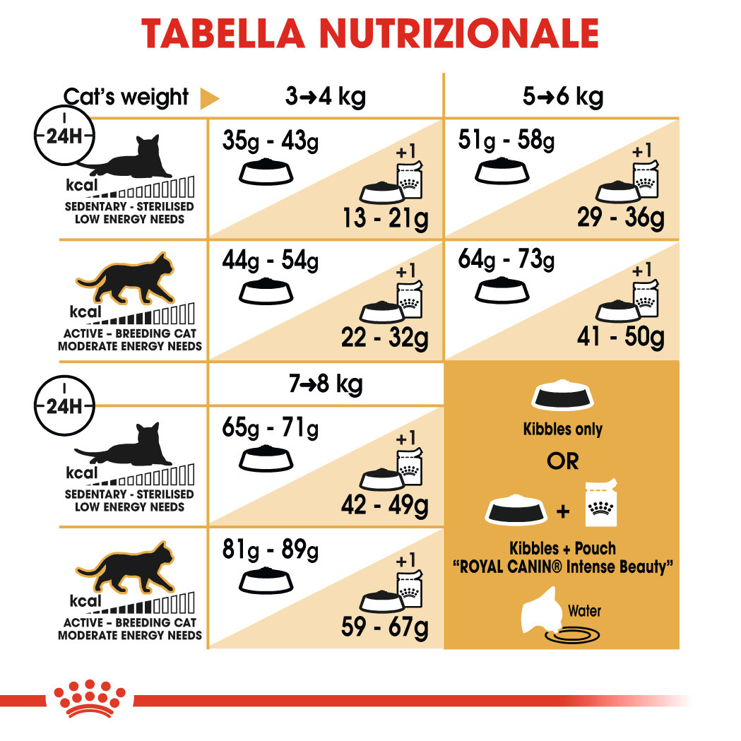 Royal Canin Gatto delle Foreste Norvegesi