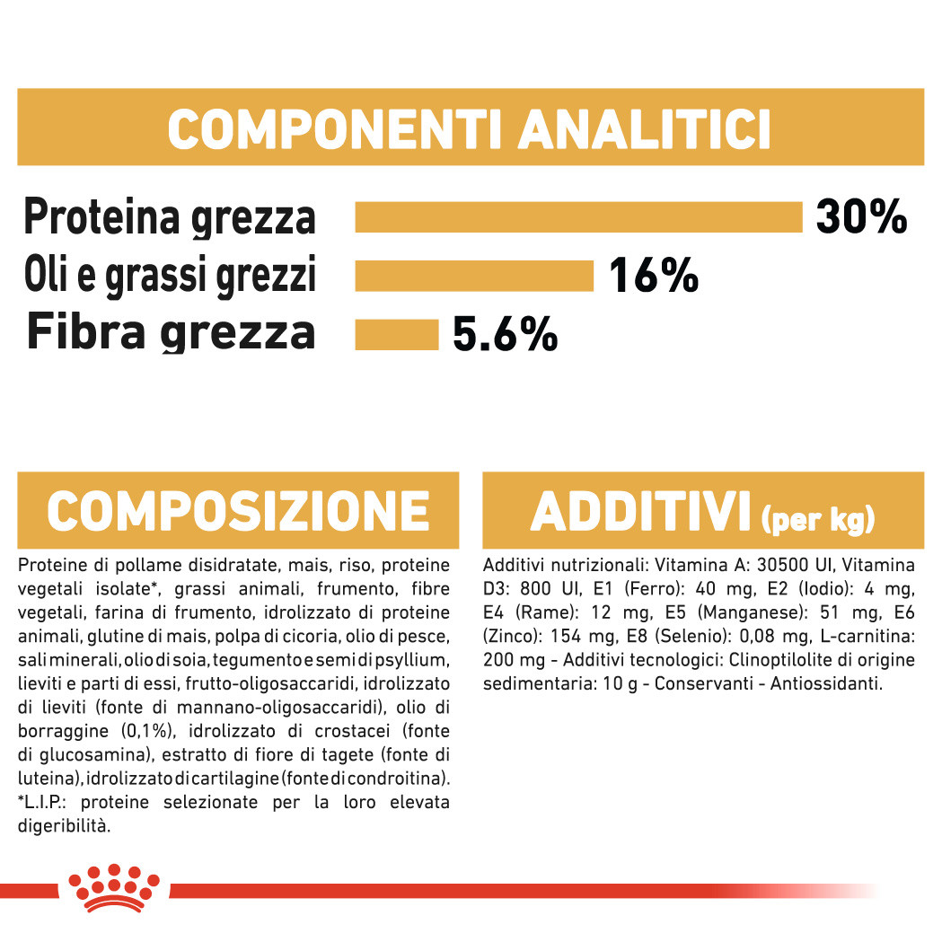 Royal Canin Gatto delle Foreste Norvegesi