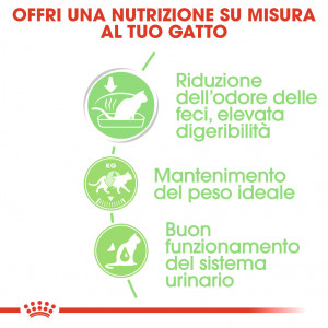 Royal Canin Digest Sensitive cibo umido per gatto x12
