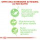 Royal Canin Digest Sensitive cibo umido per gatto x12