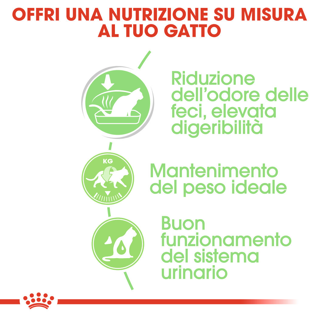 Royal Canin Digestive Care cibo umido per gatto (12x85  g)