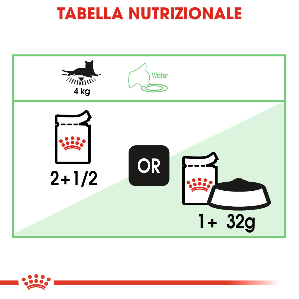 Royal Canin Digest Sensitive cibo umido per gatto x12