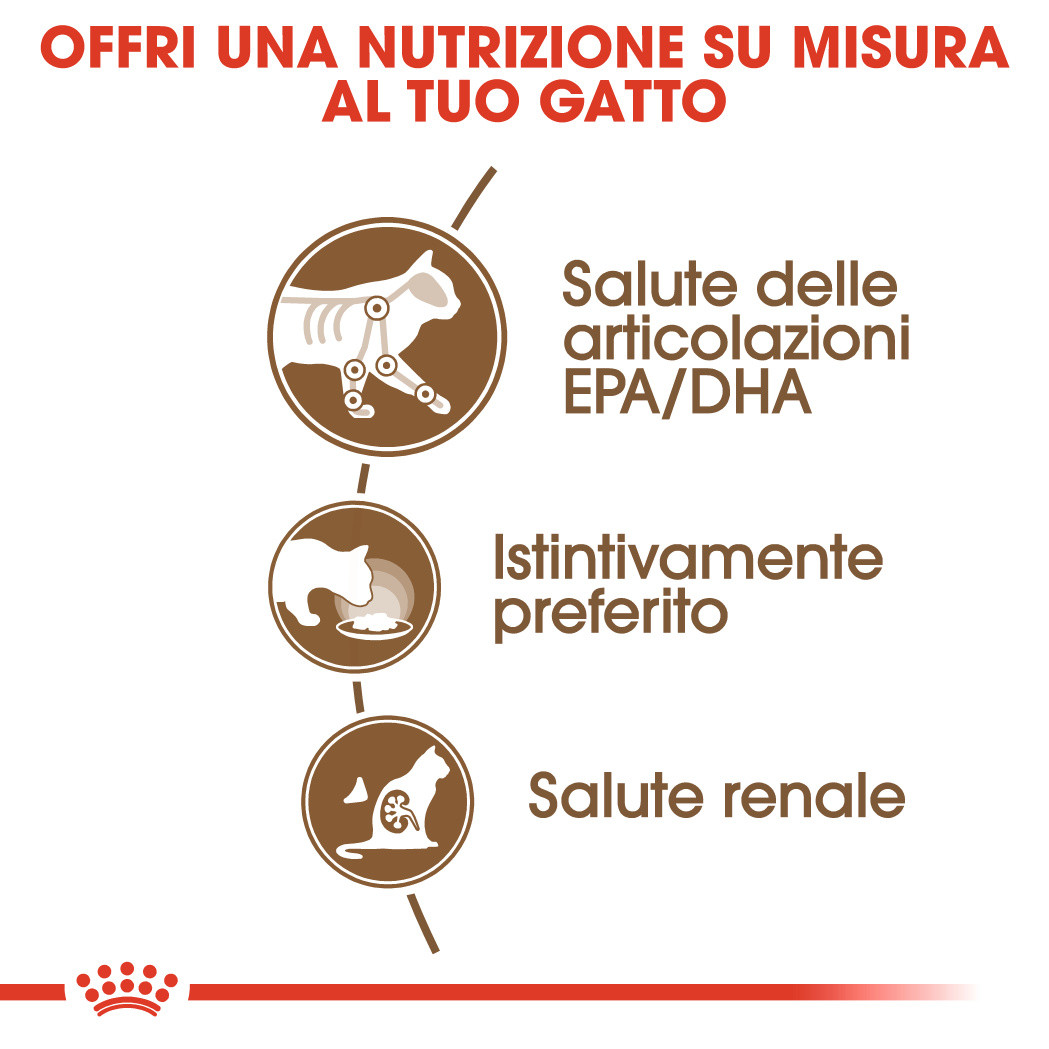 Royal Canin Pouch Ageing +12 cibo umido per gatto x12