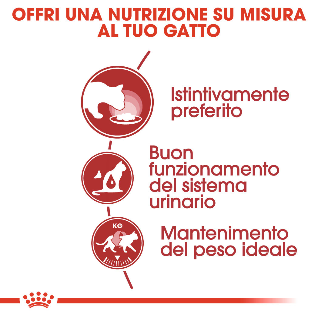 Royal Canin Instinctive in salsa cibo umido per gatto (85 g)