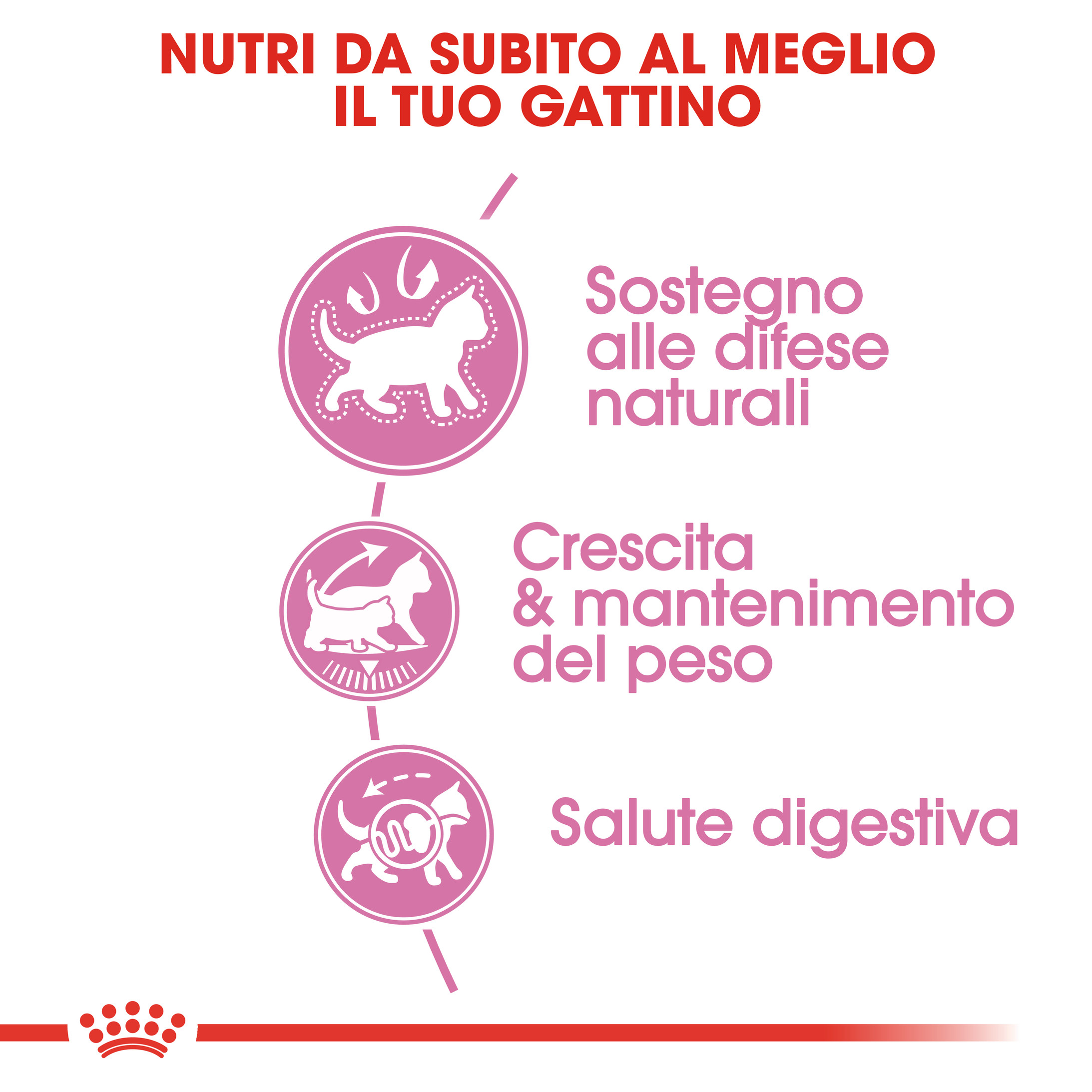 Royal Canin Kitten (Gattino) Sterilised