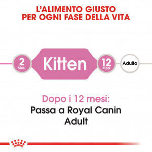 Royal Canin Kitten (Gattino) 36