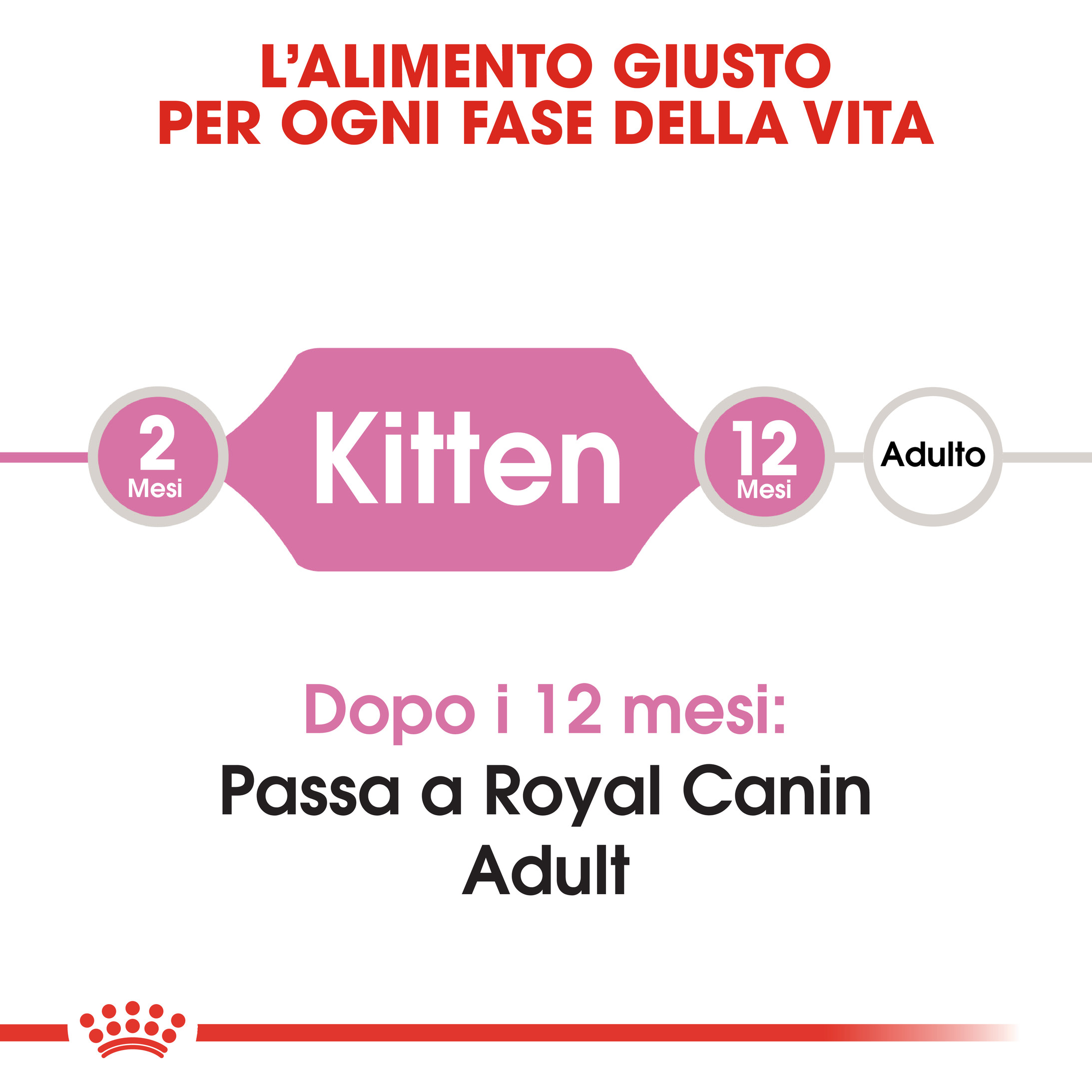 Royal Canin Kitten (Gattino)