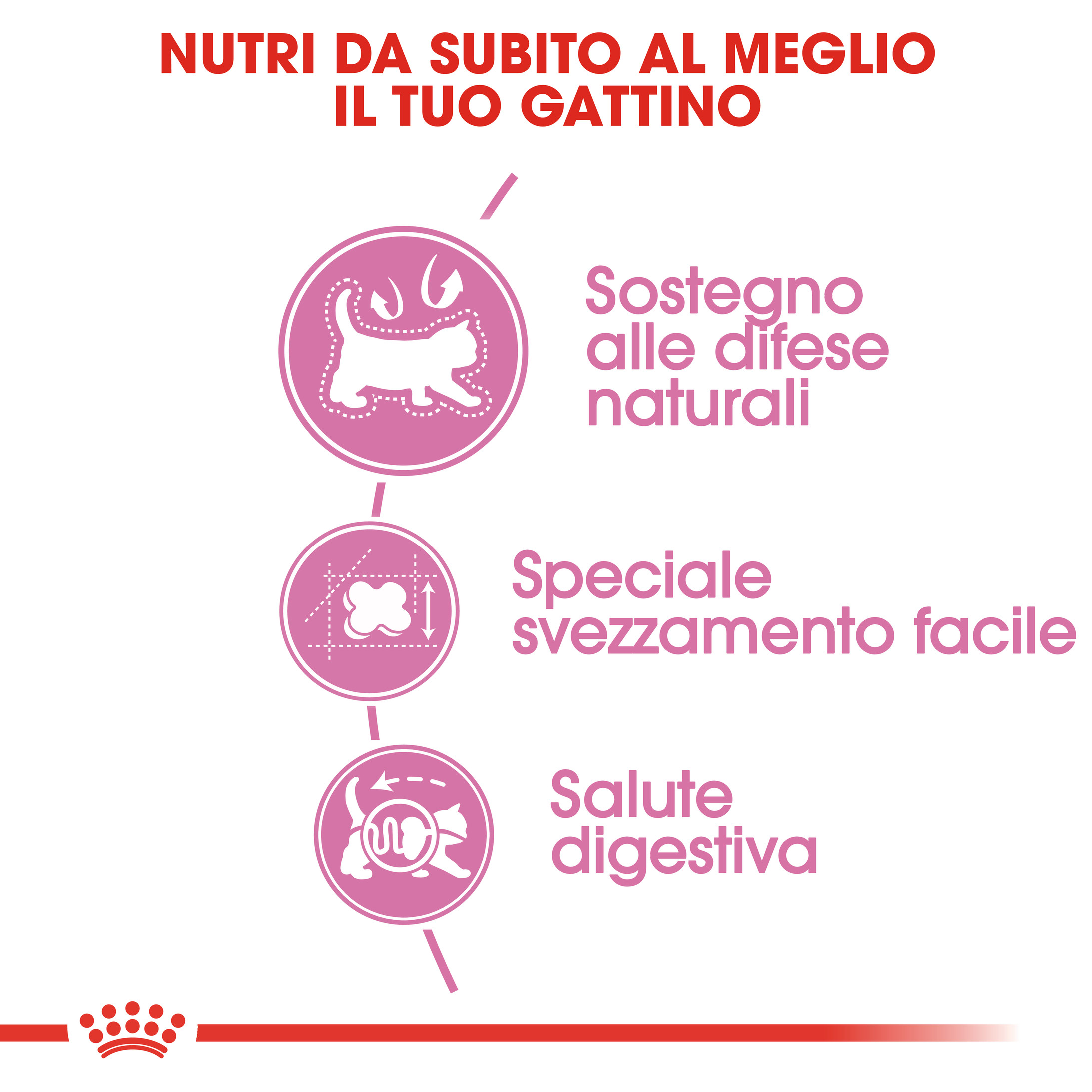 Royal Canin Babycat 34 Gatto