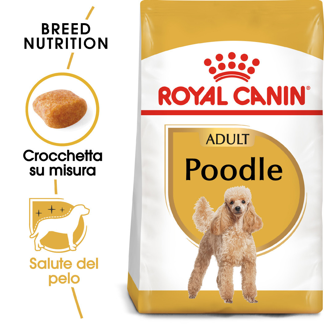 Royal Canin Adult Barboncino cibo per cane
