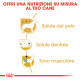 Royal Canin Adult Barboncino cibo per cane